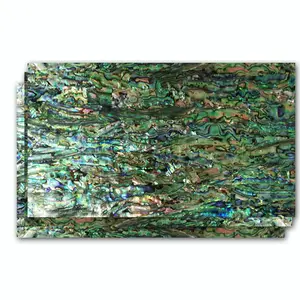 Mexicaanse <span class=keywords><strong>Paua</strong></span> Abalone <span class=keywords><strong>Shell</strong></span> Vellen Natuurlijke Parelmoer Papier - Product Image 1