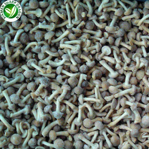 Grado orgánico setas congeladas IQF <span class=keywords><strong>nameko</strong></span> - Product Image 5