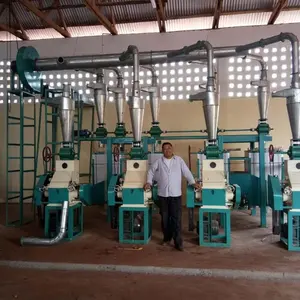 10-30TPD masala powder making machine / maize meal crusher / flour mill machinery