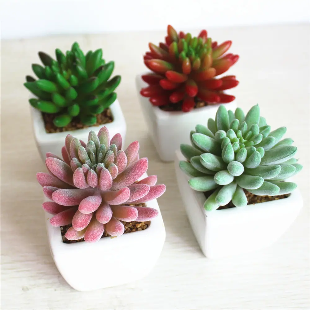 Mini plantas suculentas artificiales decorativas naturales reales