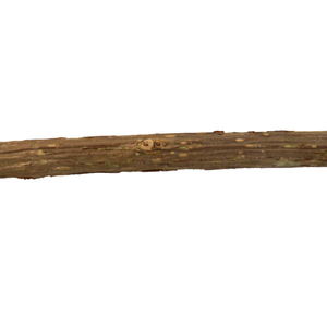 Quả tạ phong cách tự nhiên Pet đồ chơi vui matatabi mèo nhai đồ chơi với <span class=keywords><strong>catnip</strong></span> - Product Image 3