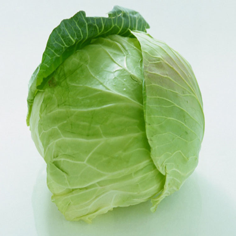 fresh cabbage, fresh cabbage direct from shandong zhifeng