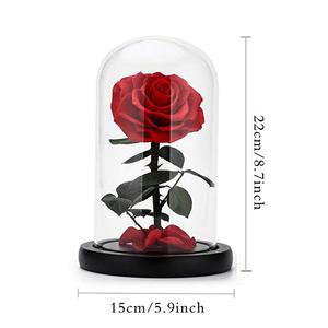 Forever Real Rose Everlasting Flower Preserved Fresh Flower Live <strong>Enchanted</strong> Rose in Glass Dome Cover with Gift Box - Product Image 2