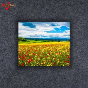 Fleurs Mer <span class=keywords><strong>Paysage</strong></span> Mur Art Giclée Illustration Photos Peintures sur Toile pour La Maison Bureau - Product Image 1