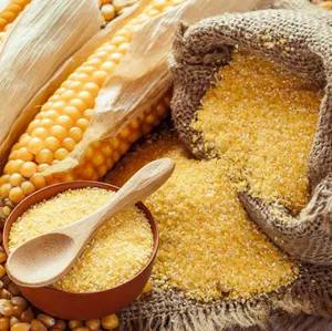 Sémola de maíz máquina de maíz semdina granos de maíz de masa harina máquina de molienda de maíz polenta fábrica buen precio