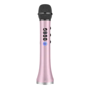 Dewant-micrófono inalámbrico para karaoke, L-698, 15W, con transmisor de radio FM