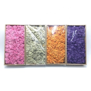 Rêu bảo quản nhân tạo ổn định rừng tự nhiên, giống tuần lộc Ireland - Product Image 5