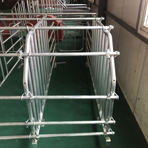 Gestation caisses de porc en cage pour animaux - Product Image 4