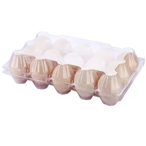 Wholesale Chicken Egg Holder 6 12 15 16 30 Holes Clamshell Chicken Egg Tray Disposable Plastic Transparent Egg Tray