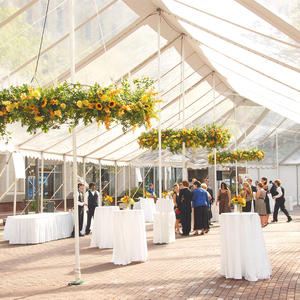COSCO de aluminio al aire libre de la estructura gigante boda fiesta carpa techo claro boda tienda - Product Image 2