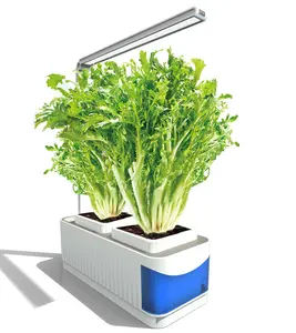 New DIY Mini garden hydroponic flower growing system with light for home use