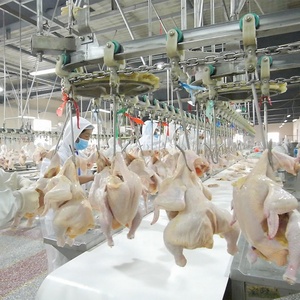 300bph-10000bph Pollame pollo macellazione abattoir apparecchiature per il trattamento - Product Image 1