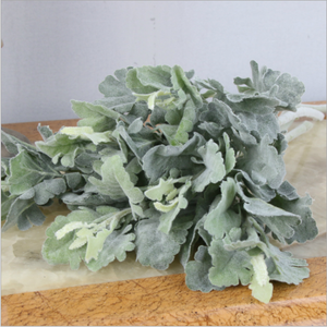 โรงงานขายใบ Flocking ประดิษฐ์ฝุ่นมิลเลอร์ - Product Image 4