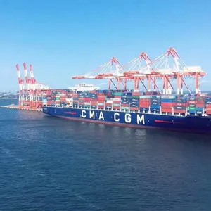 Carga de mar Qingdao a Gotemburgo Estocolmo Suecia servicio de envío promotor de carga a todo el mundo