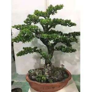Venda por atacado 60cm de altura artificial pinha bonsai planta, interior mini árvore verde pinheiro artificial para venda