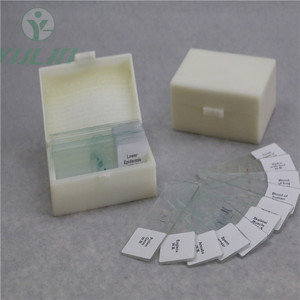 Ressources pédagogiques, matériel éducatif, équipement médical, accessoires scolaires et médicaux de haute qualité, lames préparées dans une boîte en plastique - Product Image 2
