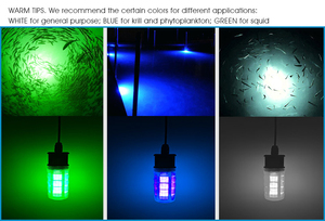 Lumière Led de pêche sous-marine, attirante de <span class=keywords><strong>poisson</strong></span>, dc 12v 10W, pêche nocturne - Product Image 6