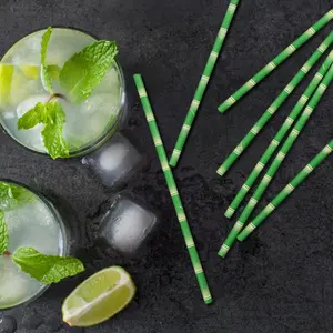 Biodegradable Bamboo Print Paper Drinking Straws for Juices Shakes and Smoothies Party Paper Straw