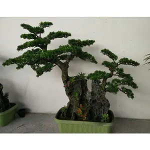 <span class=keywords><strong>Vendita</strong></span> di <span class=keywords><strong>piante</strong></span> verdi in plastica verde in fibra di vetro per interni Mini albero di pino artificiale sostenibile eco-friendly 110cm - Product Image 2