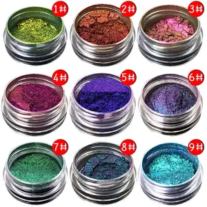 Wholesale Color Changing Mica Powder Chameleon Pigment Powder For Car Paint Coating