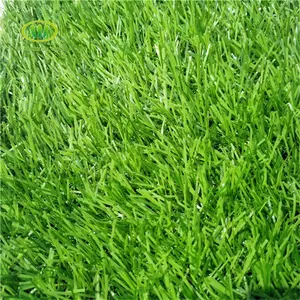 Trung quốc chuyên nghiệp cỏ nhân tạo nhà cung cấp bán khác nhau tổng hợp cỏ cỏ giống