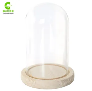 Wholesale Terrarium glass,Clear Glass Bell Jars with wooden Base ,Glass Dome