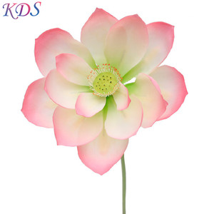 <span class=keywords><strong>Di</strong></span> alta qualità <span class=keywords><strong>di</strong></span> plastica artificiale <span class=keywords><strong>fiore</strong></span> <span class=keywords><strong>di</strong></span> loto giglio <span class=keywords><strong>di</strong></span> acqua per il giardino e decorazione della casa del <span class=keywords><strong>fiore</strong></span> - Product Image 2