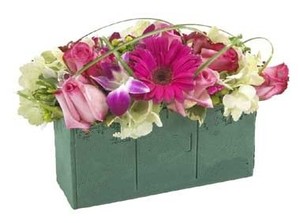 <span class=keywords><strong>Mousse</strong></span> de plante, <span class=keywords><strong>mousse</strong></span> pour arrangements floraux - Product Image 5