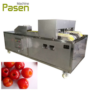 Remoção da máquina | máquina de Fruta pitting cereja pit | máquina pitting Cereja - Product Image 1