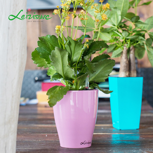 pp de color interior de cilindro de plástico a granel Pequeña hierba plantador planta bote barato redondo flor Macetas - Product Image 2