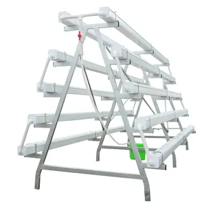 市販の垂直PVCパイプ完全な水耕レタスシステムフラットタイプlNftチャンネルトマト栽培用