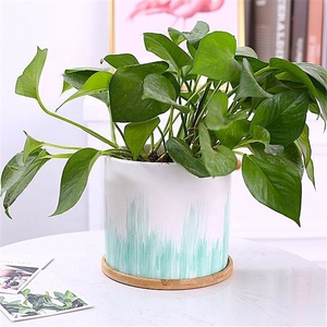 vivre succulentes plantes jardinières/décoration de <span class=keywords><strong>la</strong></span> <span class=keywords><strong>maison</strong></span> de jardin pots de fleurs en céramique avec support en bois - Product Image 5