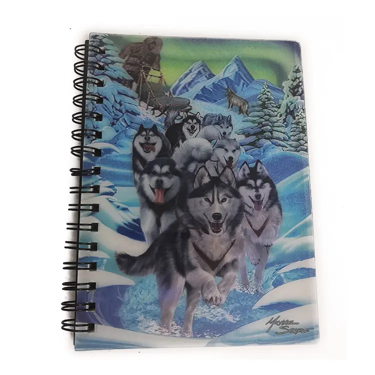 Custom mode-design PU mini 3d kunststoff hard cover spirale papier notebook