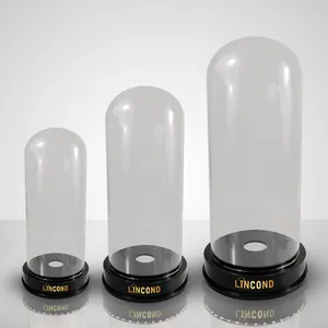 Cubierta de cúpula de vidrio personalizada, base LED acrílica, soporte, pantalla de botella, glorificador LED