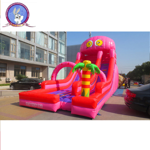 Glissière gonflable Offre Spéciale de château de pullover pour le divertissement d'enfants et d'adultes - Product Image 1