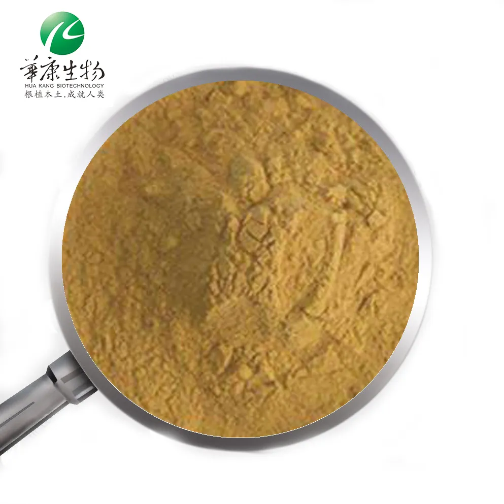 Konsentrat ekstrak Ginseng merah, produk obat ginseng bubuk makanan ekstrak Herbal akar UV kuning muda Drum 10g 3 tahun 1kg