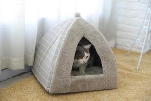 Interior Mini techo en forma de Material suave de algodón de peluche de perro <span class=keywords><strong>cueva</strong></span> cama <span class=keywords><strong>Cueva</strong></span> <span class=keywords><strong>del</strong></span> Gato - Product Image 5