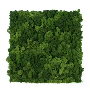 Groene Natuurlijke Kunstmatige Bewaard Moss Panel voor Wanddecoratie