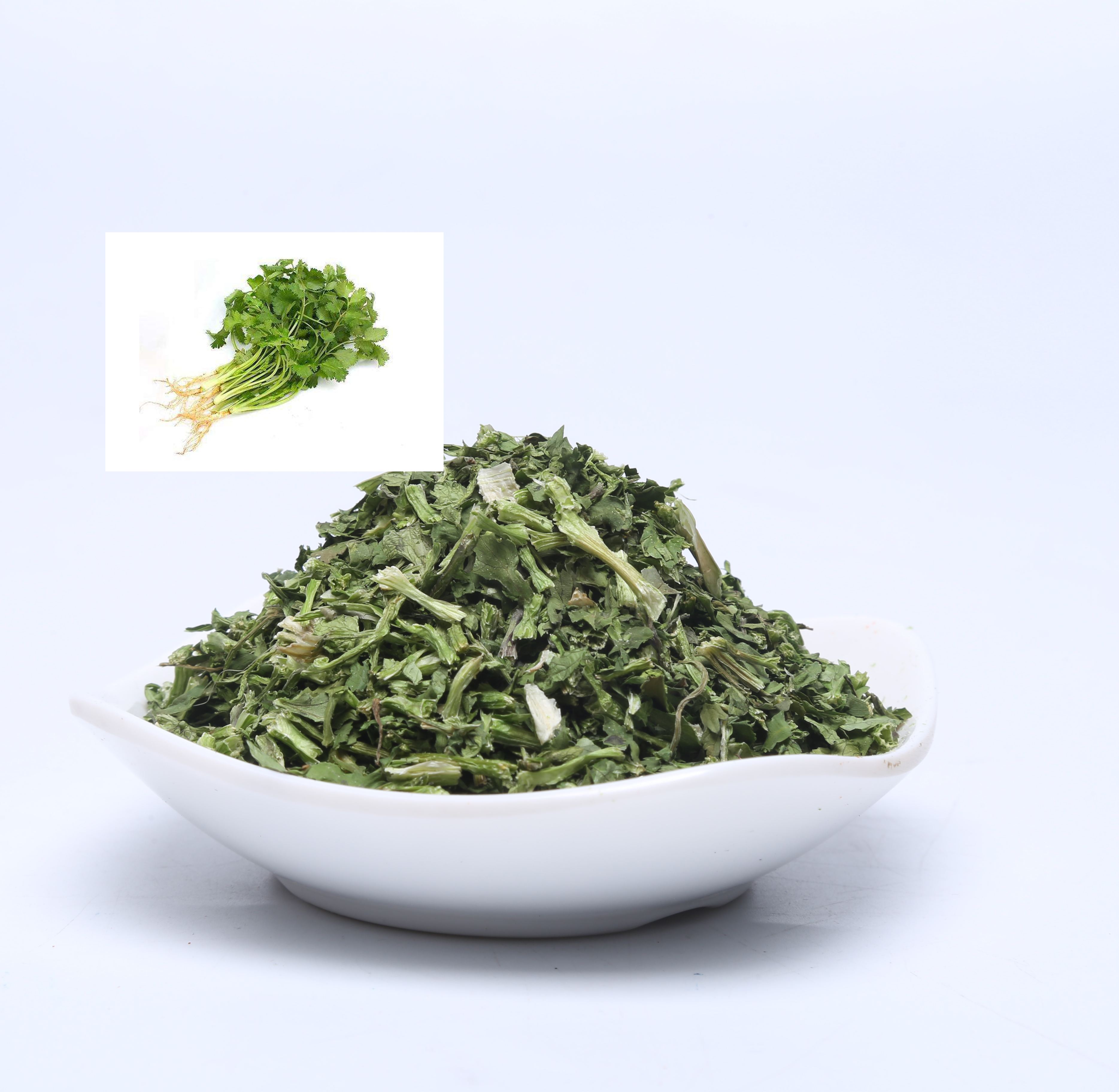 High quality dehydrated vegetables of dehydrated coriander