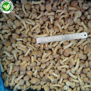 Grado orgánico setas congeladas IQF <span class=keywords><strong>nameko</strong></span> - Product Image 2