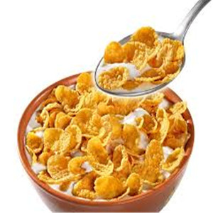 Kelloggs Corn <span class=keywords><strong>Flakes</strong></span> Faire extrudeuse Machines - Product Image 4