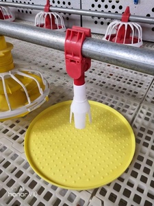 1200*500*40Mm Kippen Plastic Lamellenvloer Pluimveehouderij Dierenkooivloeren Voor Pluimveebedrijven