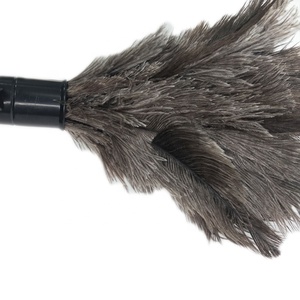 <span class=keywords><strong>Plumeau</strong></span> de plumes d'autruche télescopique, naturel rétractable, de haute qualité, importé du japon - Product Image 3