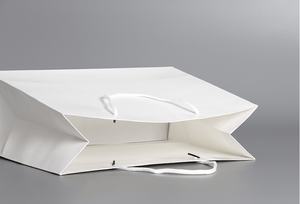 Free Sample Wholesale Customized logo White <strong>Paper</strong> <strong>Bag</strong> <strong>with</strong> Handle Rope - Product Image 5