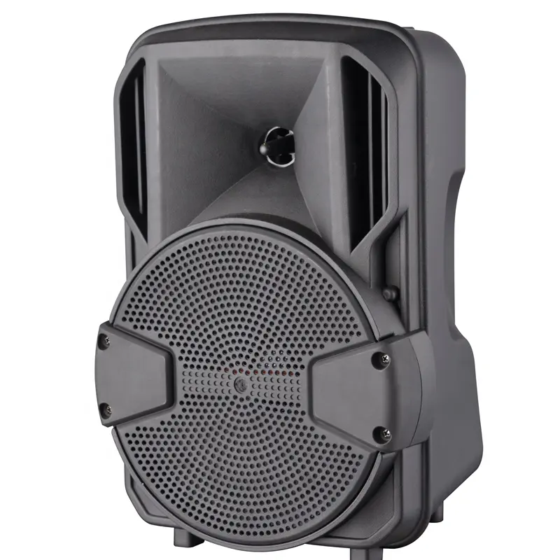 2023 Te Koop Guangzhou Mba Speaker 8 Inch Beste Oplaadbare Draagbare Bt Speaker Met Flitslicht