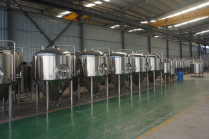 RM-500L microcervecerias - Product Image 3