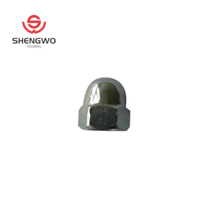 Venta al por mayor fabricante de china de calidad superior <span class=keywords><strong>acron</strong></span> hexagonal cúpula tapa loco DIN319 - Product Image 4