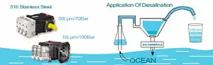 Поршневой насос для опреснения, насос из нержавеющей стали 12Lpm 100 бар для очистки морской воды