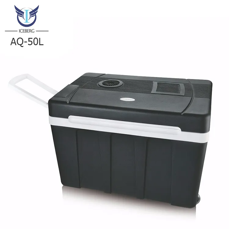 50L новый продукт электронная охлаждающее устройство DC12V AC110-230V автомобильный холодильник и теплее боксового 12 В