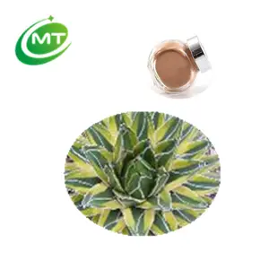 Organik Agave Americana Yaprağı Ekstresi Agave Yaprağı Tozu Agave Toz